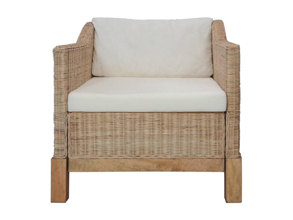 Set di divani in rattan marrone da 2 pezzi con cuscini